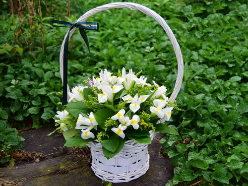 Iris si Solidago - Cos cu flori